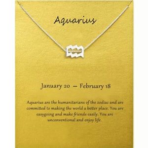 Aquarius ♒️ Zodiac Chains Necklace